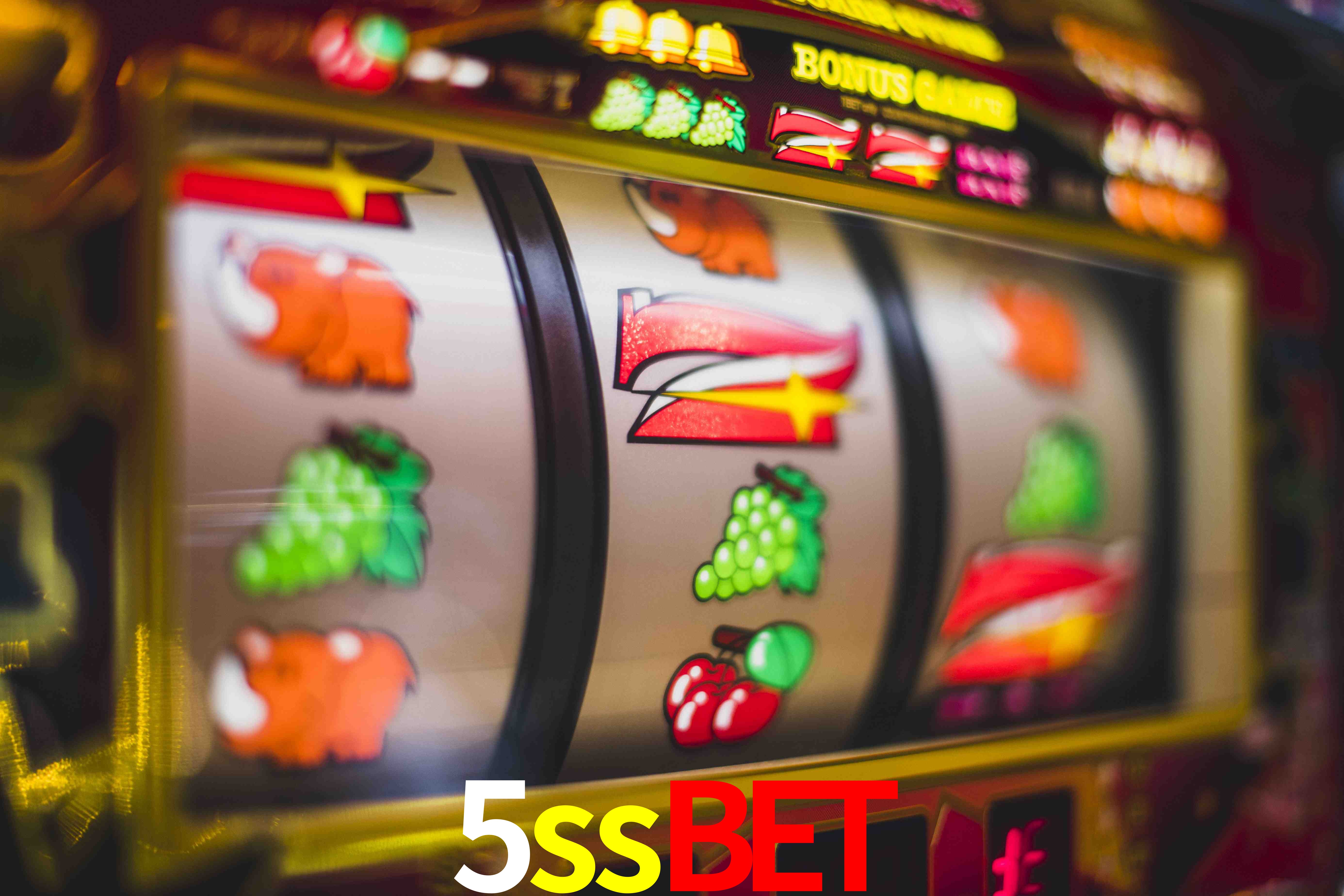 Crash Games Statistics 5ssbet